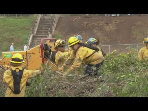 CalFire crews reduce wildfire risk at the Jamul Little League Field