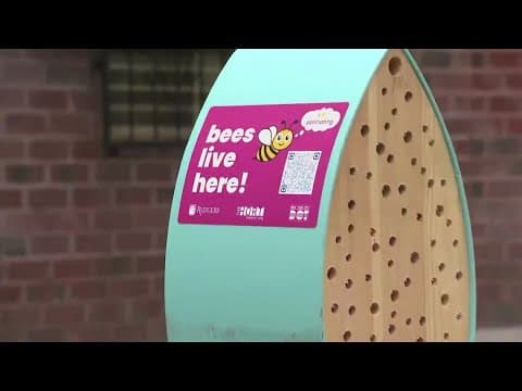 Environment Matters | Bee hotels help pollinators