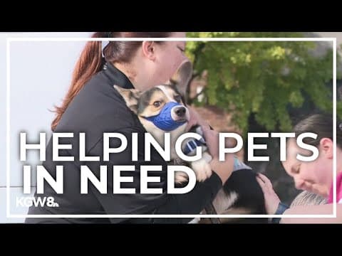 Free pet clinic held for homeless people in Portland