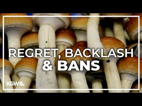 Bans on psilocybin businesses sweep Clackamas County elections