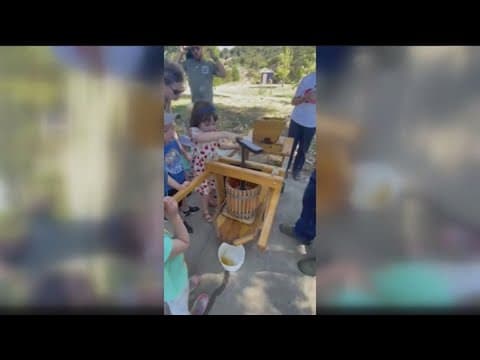 Apple picking in Julian | Tips for making the trip fun for the entire family