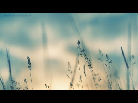 Gov. Tim Walz to unveil new climate plan Friday