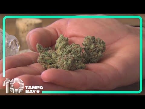 Proposal to legalize recreational marijuana in Florida fails to pass, advocates react