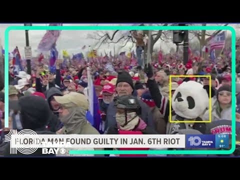 Florida man wearing panda headpiece found guilty in January 6