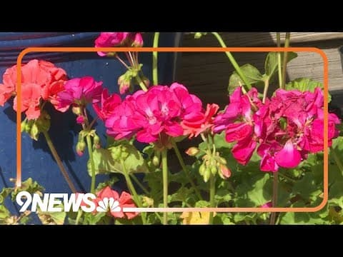 How to prepare your warm-season plants for May
