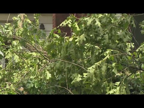 Crews spend hours cleaning up after Gaithersburg storm