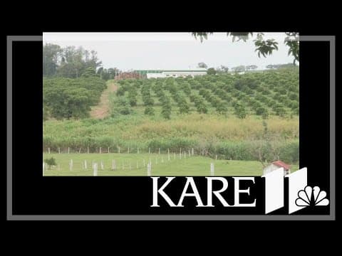 Drought driving up food prices