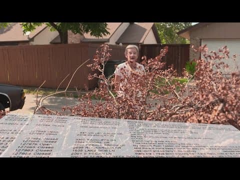 Debris pickup continues after Texas' May storms