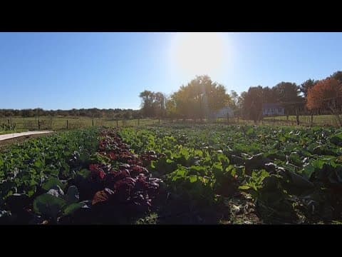 Shenandoah Seasonal Farm is rooted in their mission