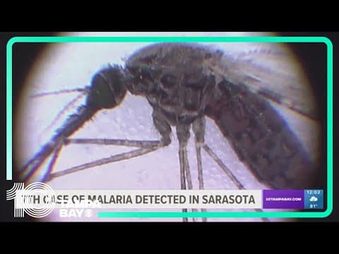 7th case of malaria detected in Sarasota
