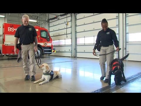 2 K-9s graduate from Columbus Division of Fire’s explosive handlers course alongside partners