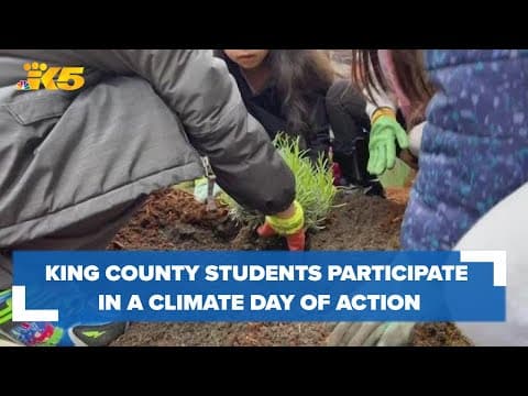 Students in King County use plants to rebuild, revitalize their playground