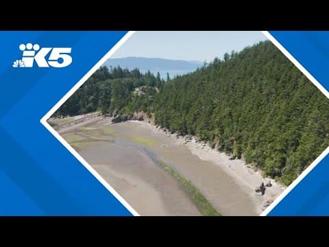 Neighbors fight to protect delicate shoreline from luxury home development