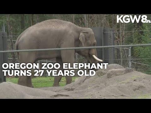Samson the elephant turns 27 at Oregon Zoo