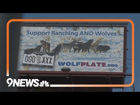 Billboards tout ‘Born to be Wild’ license plate funding wolf–rancher coexistence