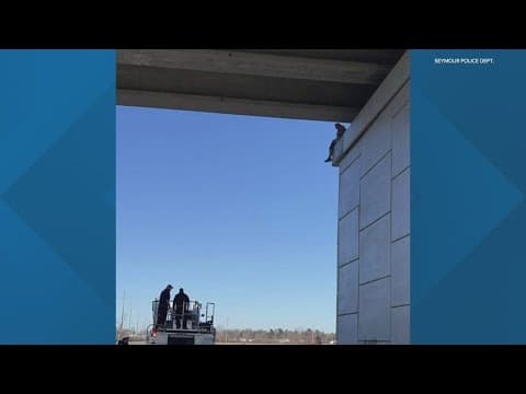 Woman arrested after scaling bridge in southern Indiana