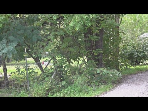 Former neighbor of suspects reacts to dog attack in Monroe County