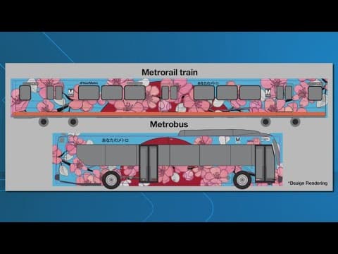 Cherry blossom designs for Metrorail trains, Metrobusses unveiled by WMATA