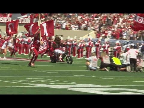 Hoosier the Bison returns to IU