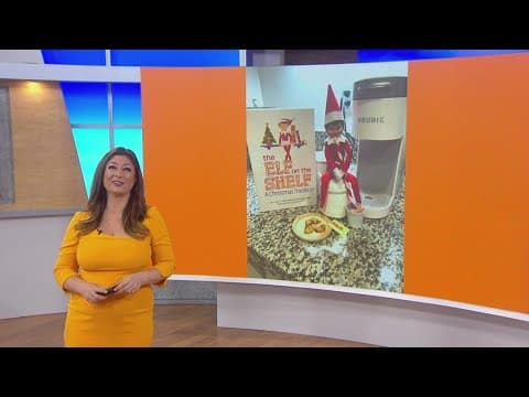 Working For Our Planet | Eco-Friendly Elf on the Shelf