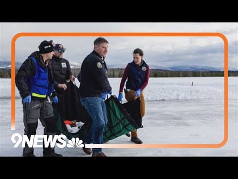 'A whole new ballgame' | CPW director speaks about state's 2nd year of wolf reintroduction