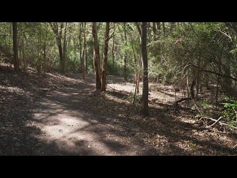 WFAA's new nature trail opening soon!