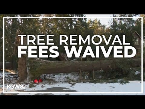 Portland waives tree removal fees after winter storm