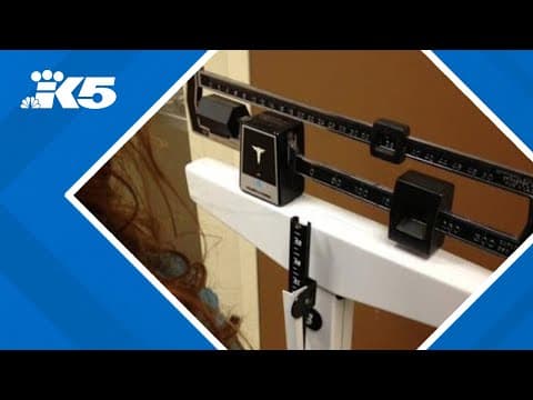 Bellevue doctor urges those with eating disorders to seek help