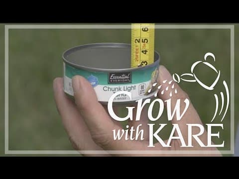Grow with KARE: Lawn care in drought conditions