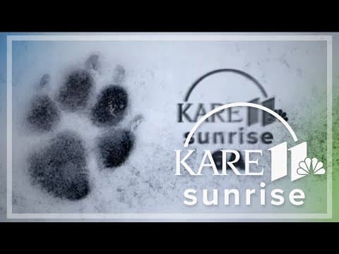 Minnesota Timberwolves returning to free over-the-air TV on KARE 11