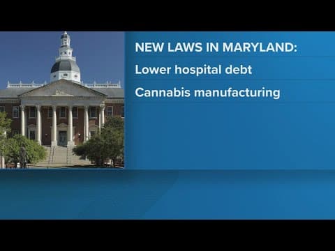 New laws are set to take effect across the DMV