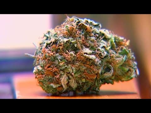 Future of recreational cannabis sales in Virginia faces support, uncertainty