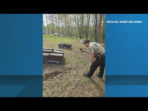 500,000 bees poisoned, killed by trespasser at honey farm