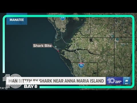 Man bitten by shark in Manatee County waters recovering at hospital, officials say