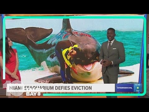 Miami Seaquarium defies eviction
