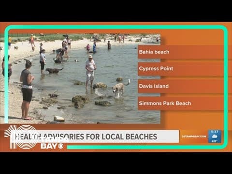 Health advisories issued for Tampa Bay beaches ahead of spring break weekend