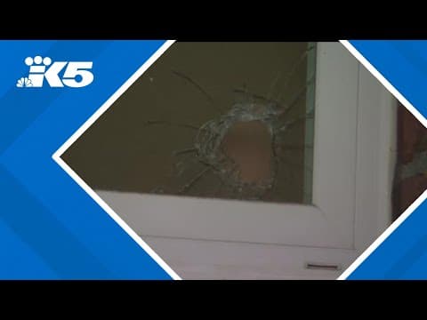 Northeast Seattleites fed up with violent crime, burglaries