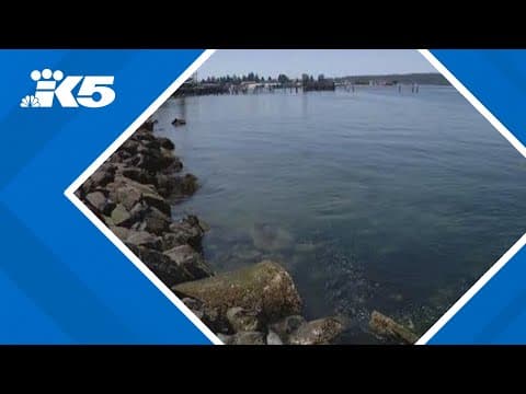 Family of drowning victim sues Metro Parks Tacoma