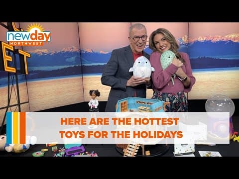 From Squishmallows to Magic Mixies — here are the hottest toys for the holidays - New Day NW
