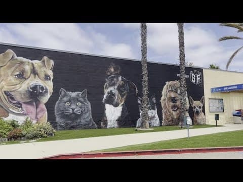 Chula Vista Animal Shelter hosts the Spooky Adoption Pawty | All adoption fees are waived