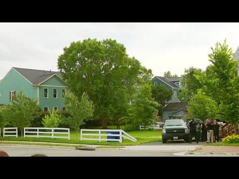 Bear runs from Herndon tree to climb up a different tree
