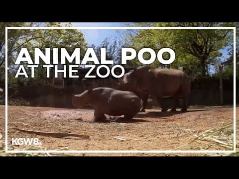 How lab workers learn about animals at the Oregon Zoo through their waste