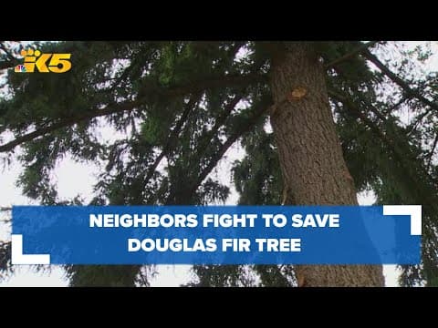 Maple Leaf neighbors fight to save Douglas fir tree from being cut down