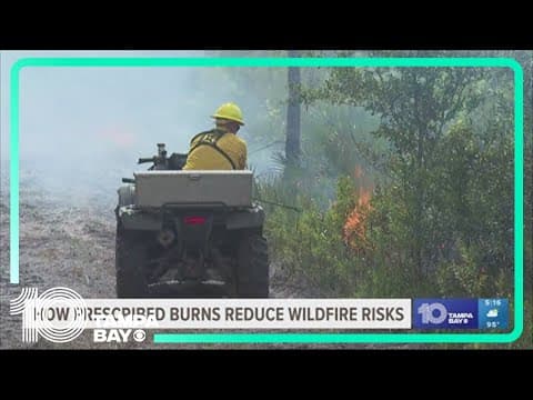 How prescribed burns reduce wildfire risks