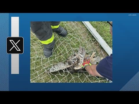 Indianapolis firefighters save owl stuck in soccer net