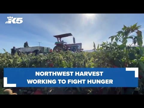 Northwest Harvest working to reduce the number of households struggling with hunger