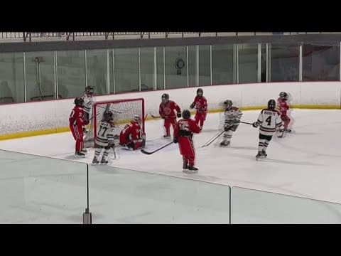 Four young San Diegans make Western Select hockey team