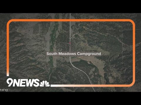 Moose attacks man, kills dog in Woodland Park