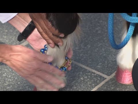 NOPD Chief and 'Patch' trade Taylor Swift bracelets as merch lines for Eras Tour increases