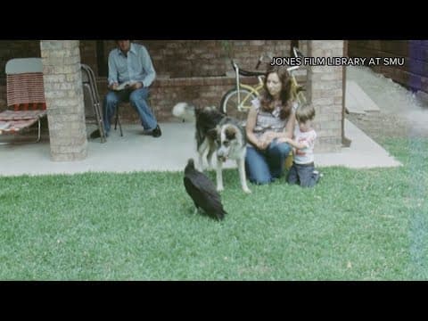 Stand back Moo Deng, here are the viral animals that stole our hearts decades ago